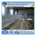 Anping facory cheap chicken coops